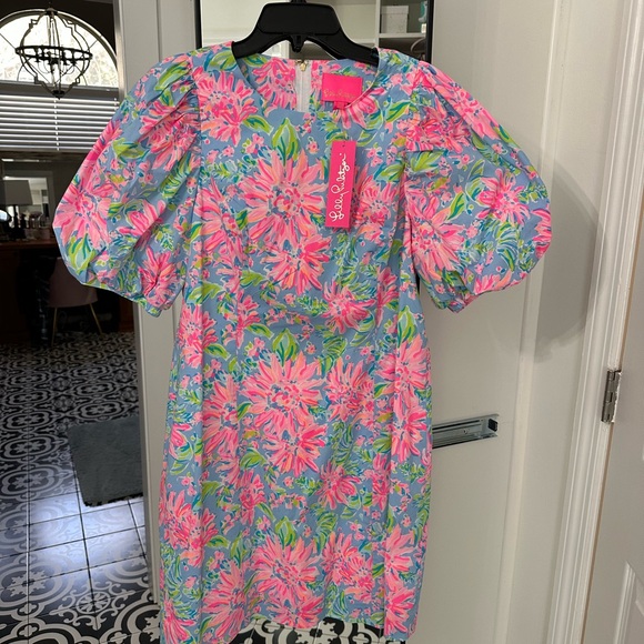 NWT Lily Pulitzer “Roni” short sleeve stretch style dress   👗 - Picture 3 of 8